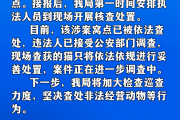 肇庆高要区成功捣毁一非法屠宰猫只黑窝点
